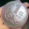搞事的小胖胖