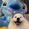王磊啊