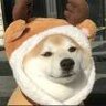 修狗哈哈