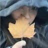 小李不吃金橄榄o