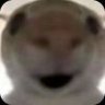 opuo