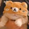 Y困困