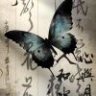 吻萌尔之眸