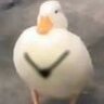 电话读书节