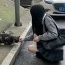 我的猫不吃鱼