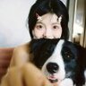 吃羊就吃喜羊羊