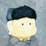 听蝉君