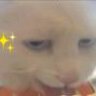 盐城巴旦