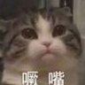 张小轩101