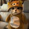 huaaotian