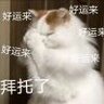 海绵宝宝的领带