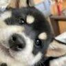 翟熙aa