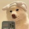 7080