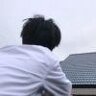 xiao贸