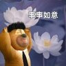 你快点出金
