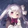 青弹时光