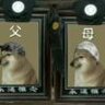 yes屑白