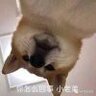 劝你多读舒