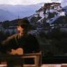 秦文辉