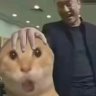 哈哈哈www