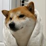 一名小M粉