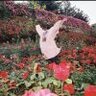 怀风ro死