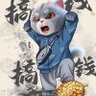 与与刺激