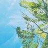 匆匆那年突兀压神州去