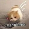 花了个生