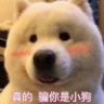 某先生