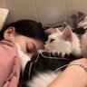 故事和花