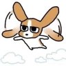 zhai