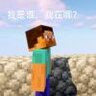 一只小石榴吖
