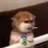 唔璇哥