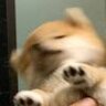 却如阴雨时局