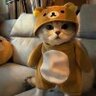 smile1235