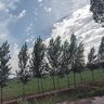 whw1304252024