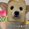aoao在嗷嗷