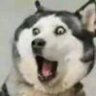 天生是b王