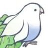 黑喵崽