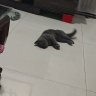 哼哼哼啊啊啊啊