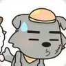 宋YH