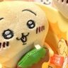 姚帅哥