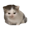 石易昆