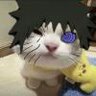 带土没琳