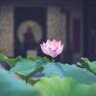 给青春插上一双翅膀