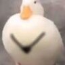 秦尧庭
