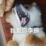 物化造人