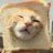 皮皮猪