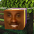 Jonky